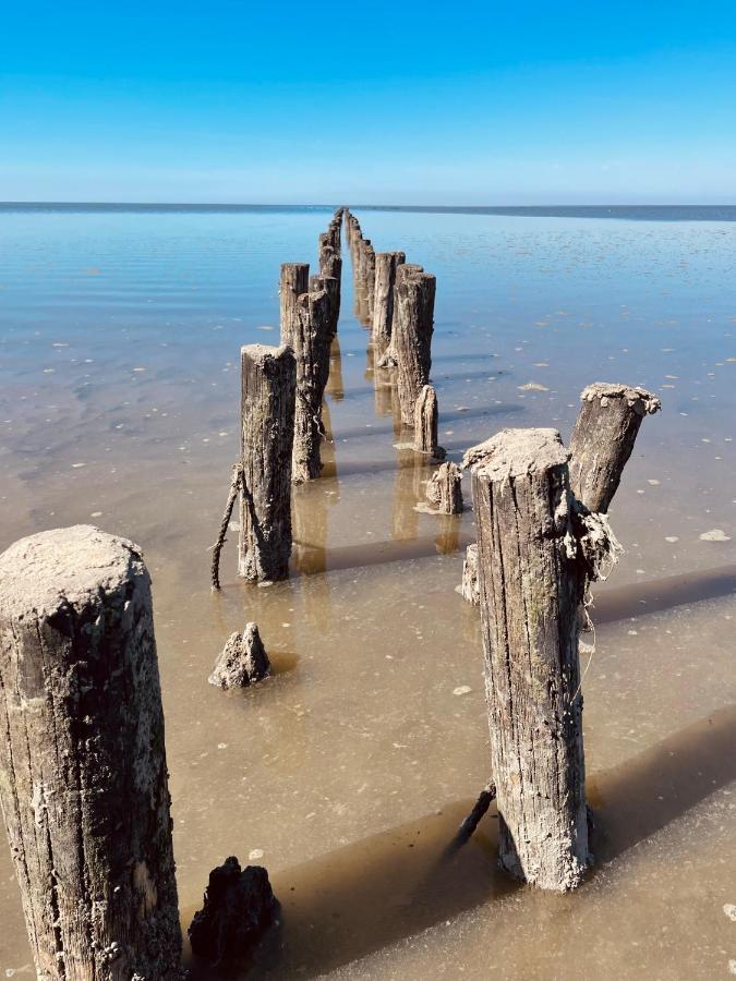 Marne Ferienwohnung „Deichgefluster“ Nahe Der Nordsee المظهر الخارجي الصورة